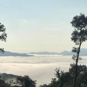 Meet your Posher, Ray